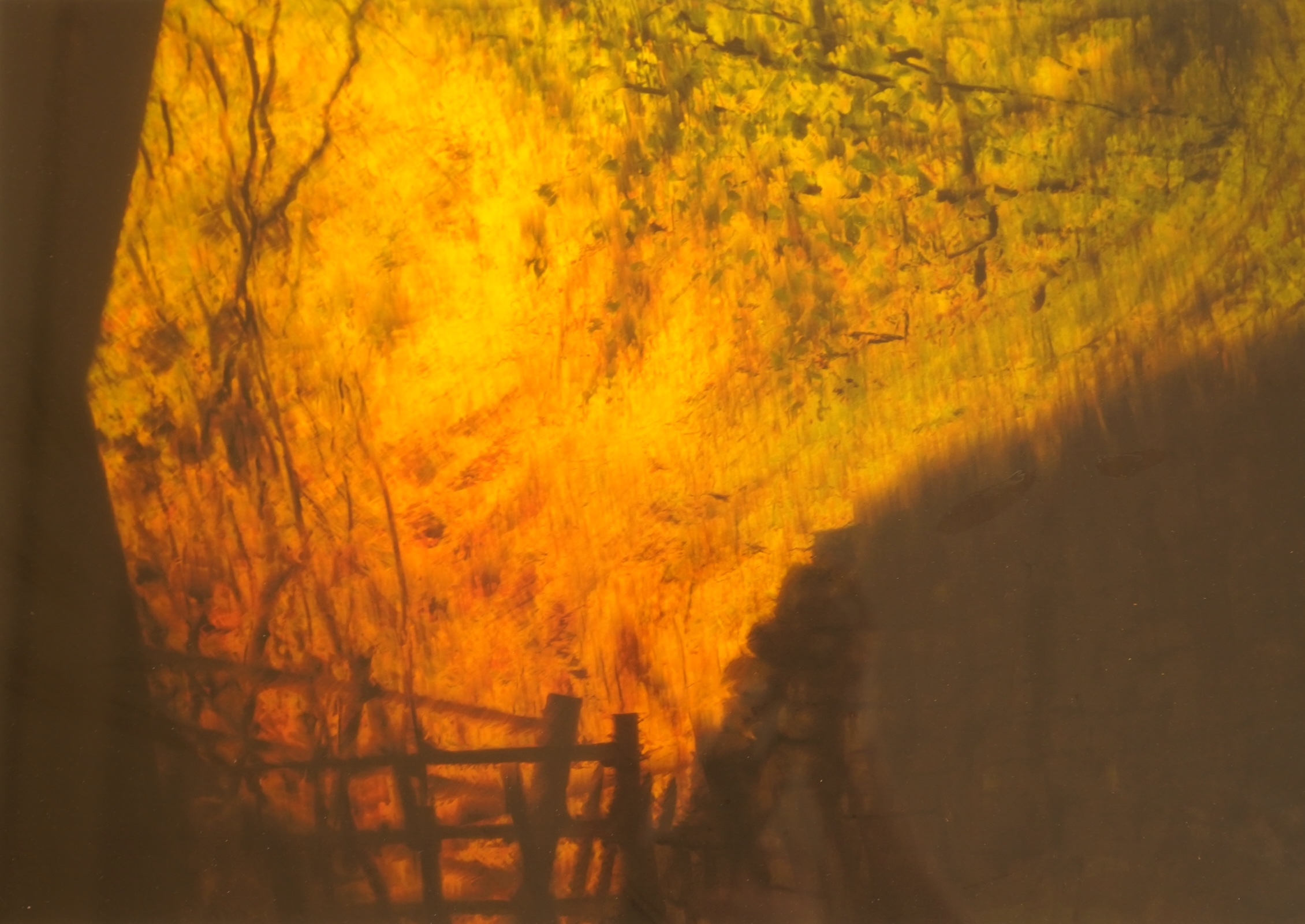 A set of eight decorative abstract compositions, Landscapes and trees, unsigned, photographic prints., Provenance: The Tanyards Collection, East Sussex